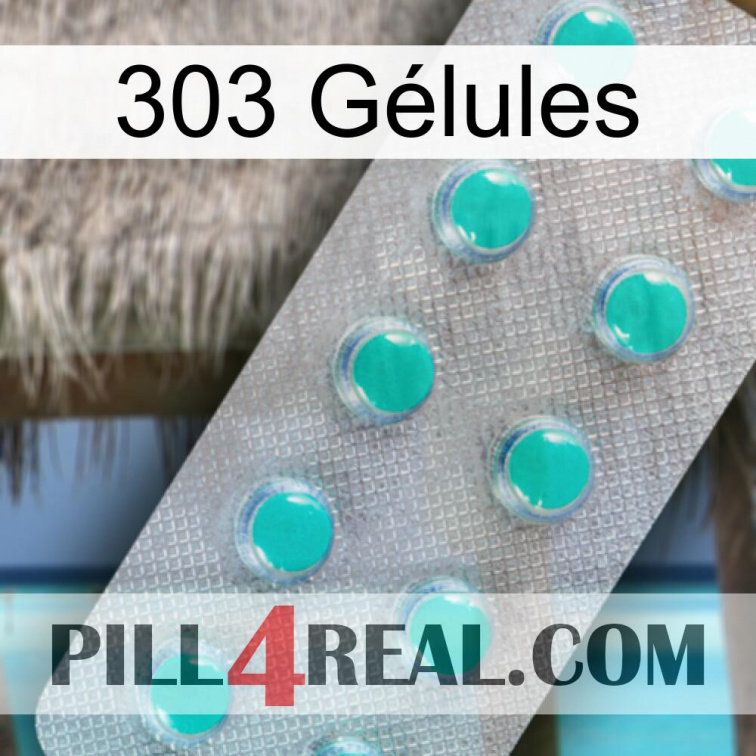 303 Gélules 28
